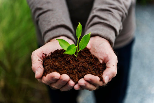 Our pledge to the environment - Pathos Studio
