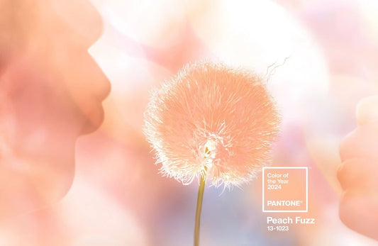 Trend Predictions for 2024 - Pathos Studio