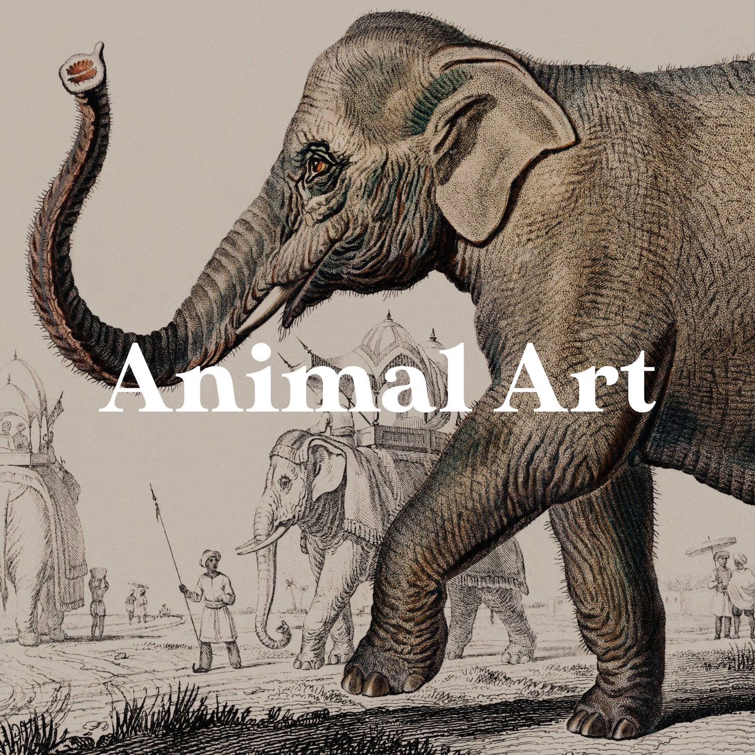 Animal Art | Pathos Studio