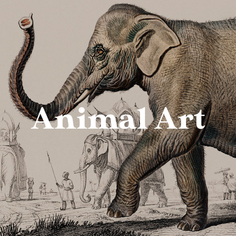 Animal Art | Pathos Studio