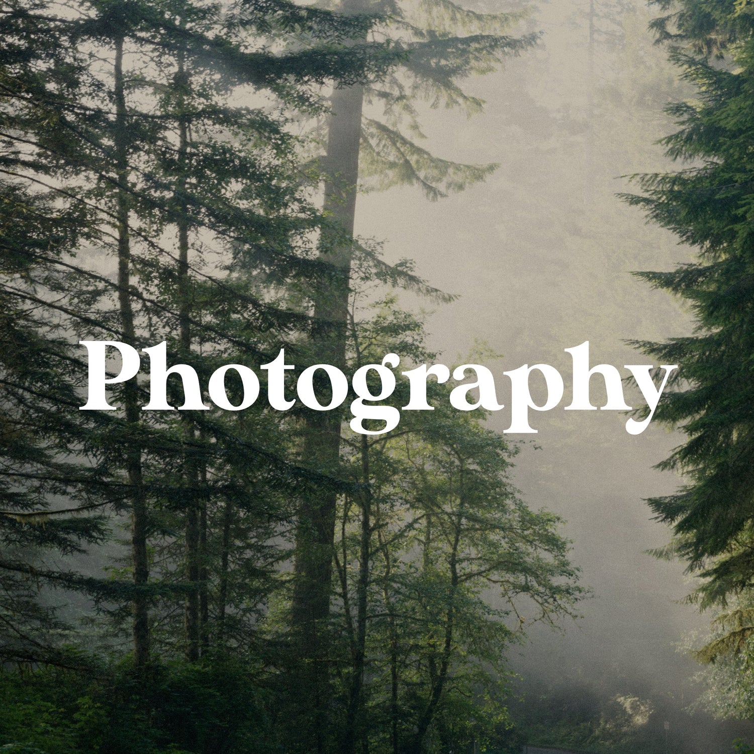Photography - Pathos Studio