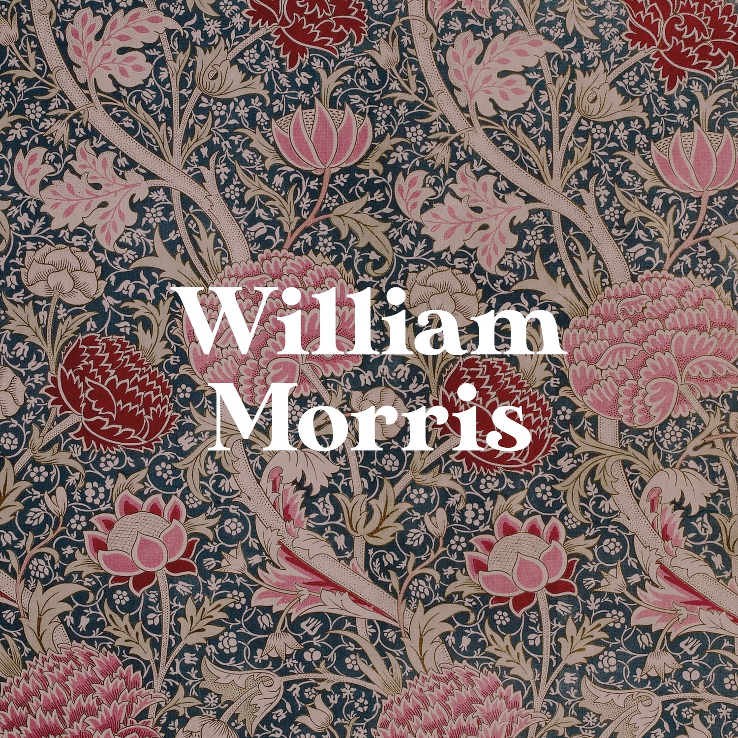 William Morris | Pathos Studio