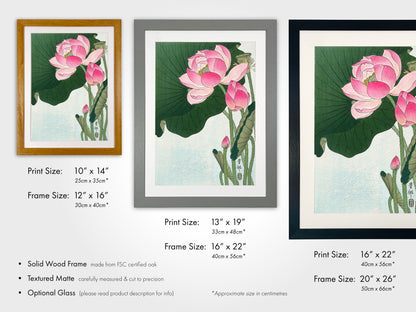 a picture of pink flowers with green leaves