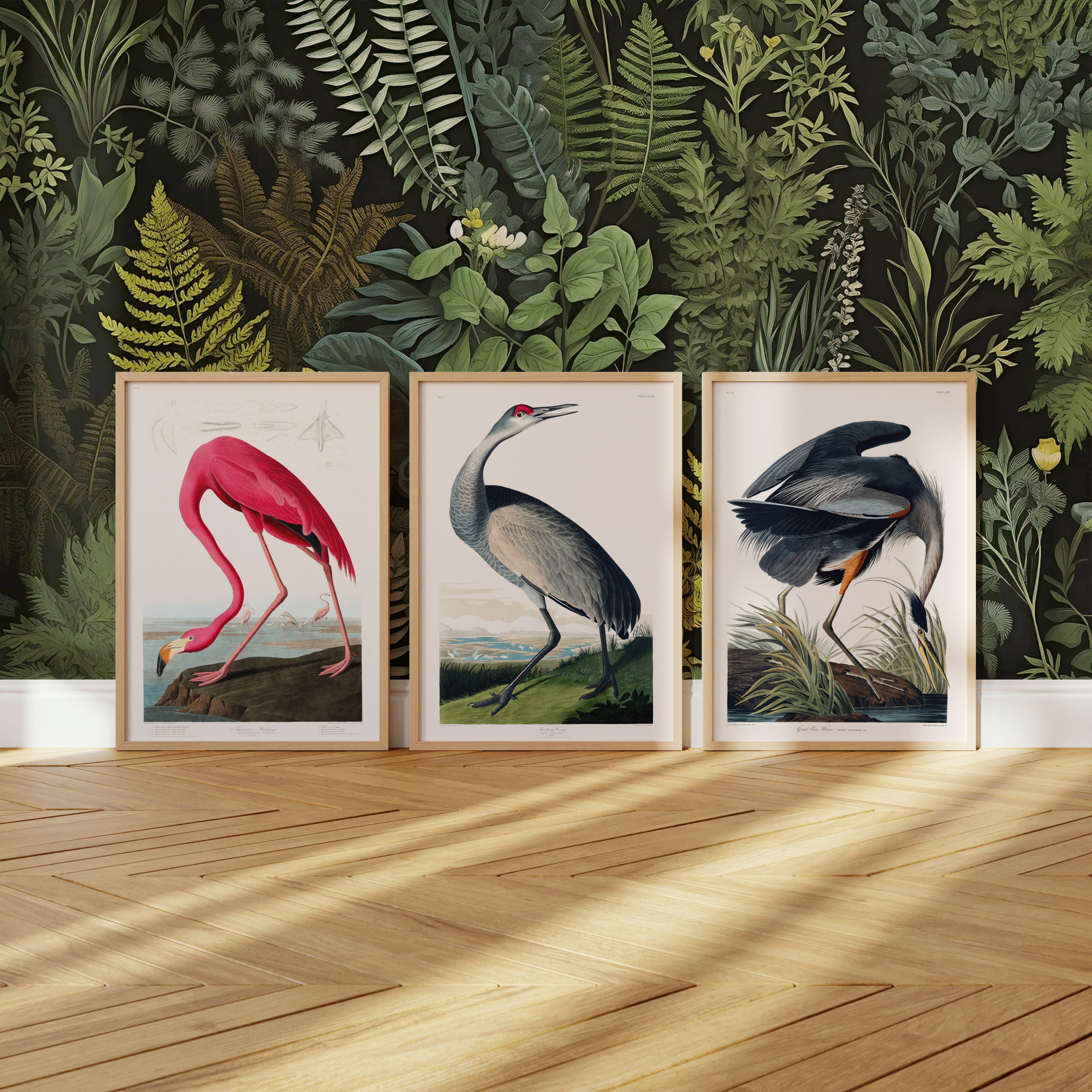 Set of 3 wood framed vintage giclée art prints of birds including pink flamingo, hooping crane and great blue heron with botanical wallpaper