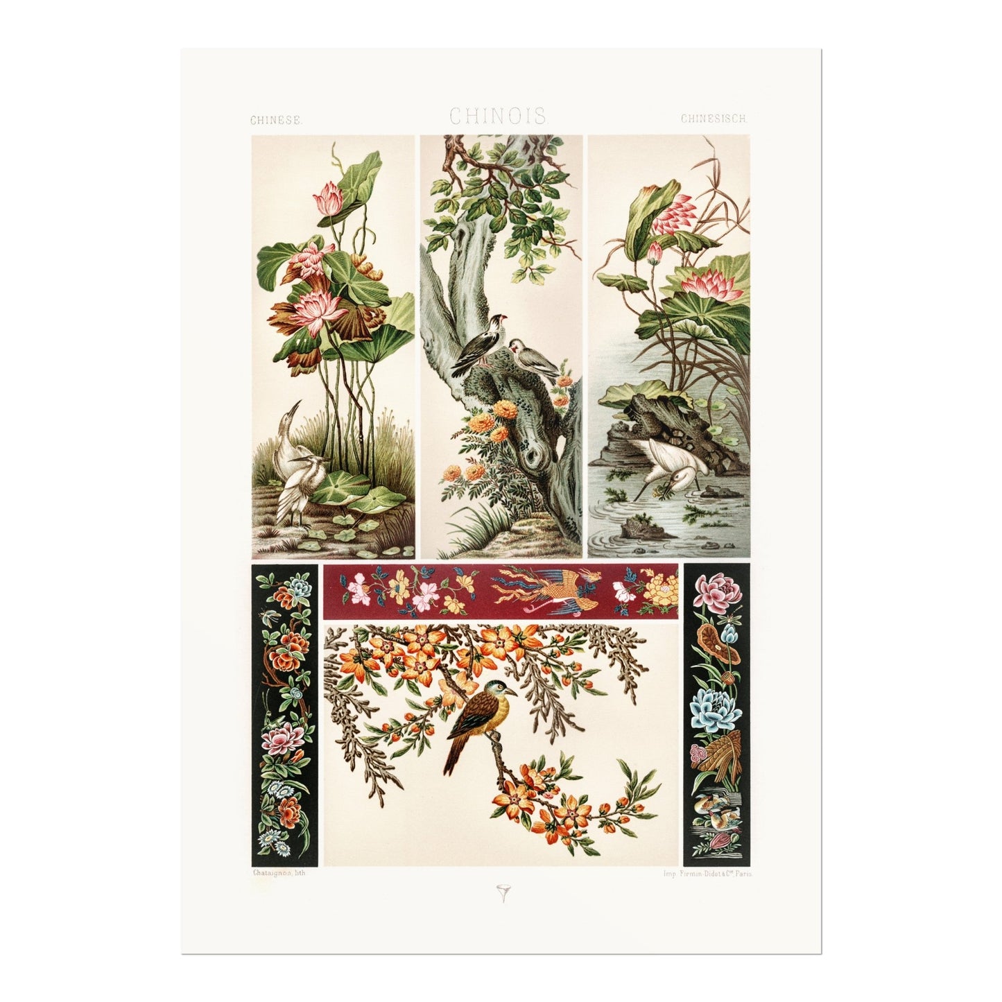 ALBERT RACINET - Chinese Pattern from 'L'ornement Polychrome' - Pathos Studio - Art Prints