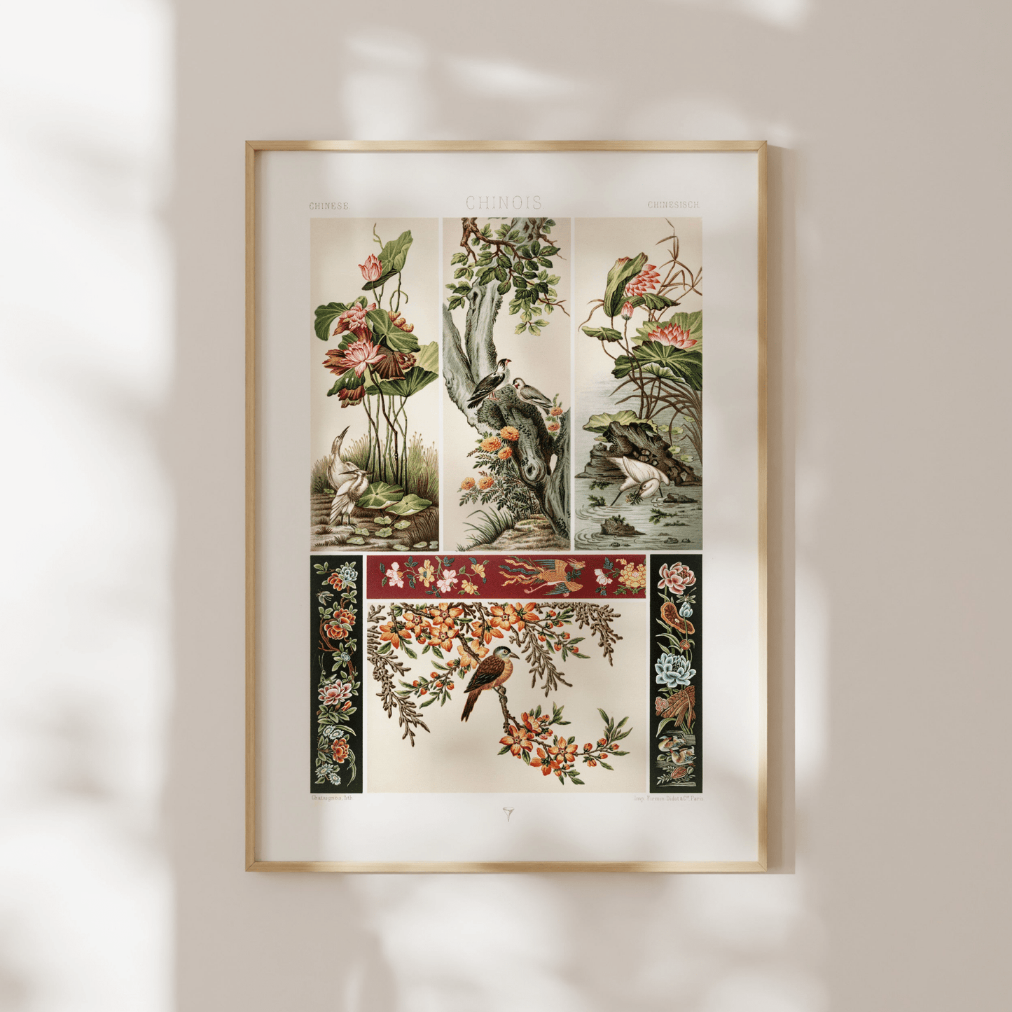 ALBERT RACINET - Chinese Pattern from 'L'ornement Polychrome' - Pathos Studio - Art Prints