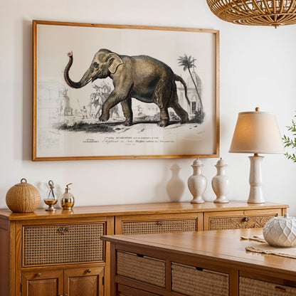 Asiatic Elephant (Animal Illustration from ‘Dictionnaire Universel D'histoire Naturelle’) - Pathos Studio - Art Prints