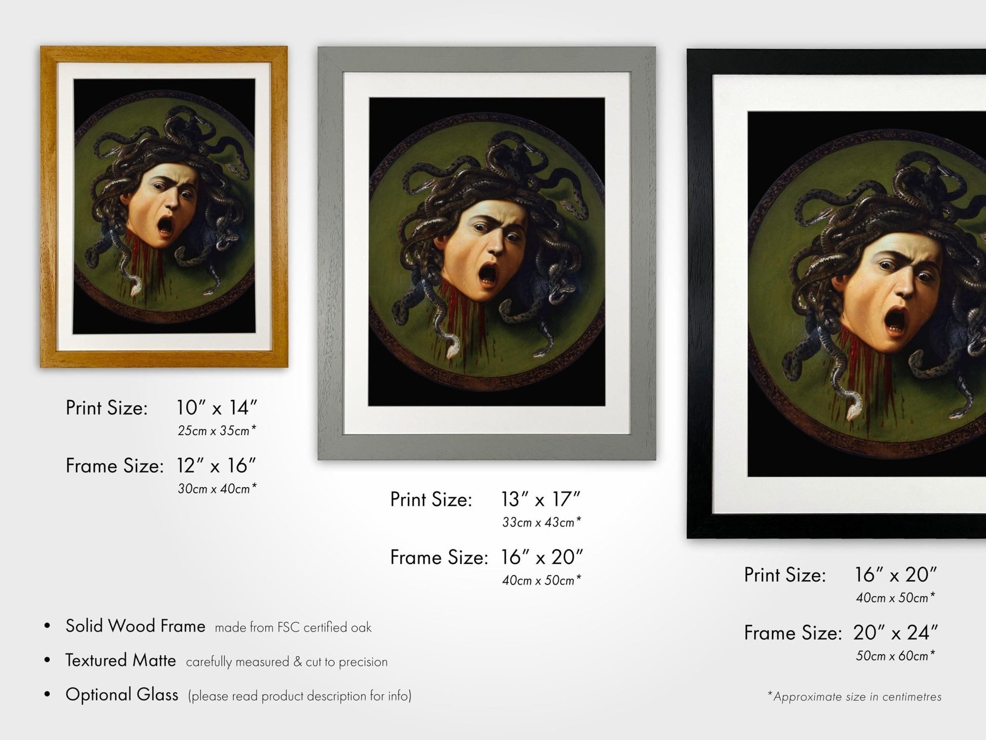 CARAVAGGIO - Medusa - Pathos Studio - Art Prints