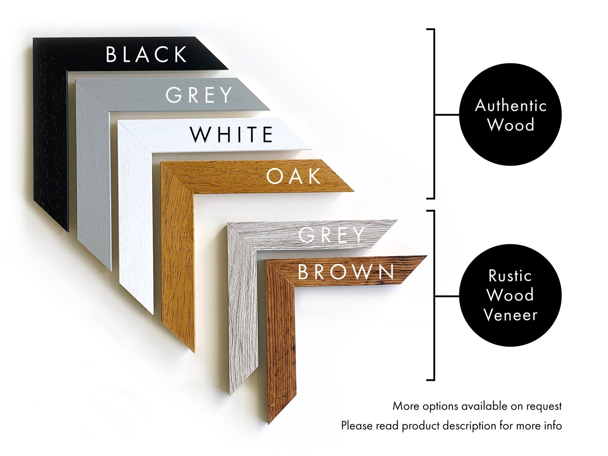 Chrysanthemum (Poster Style) - Pathos Studio - Art Prints