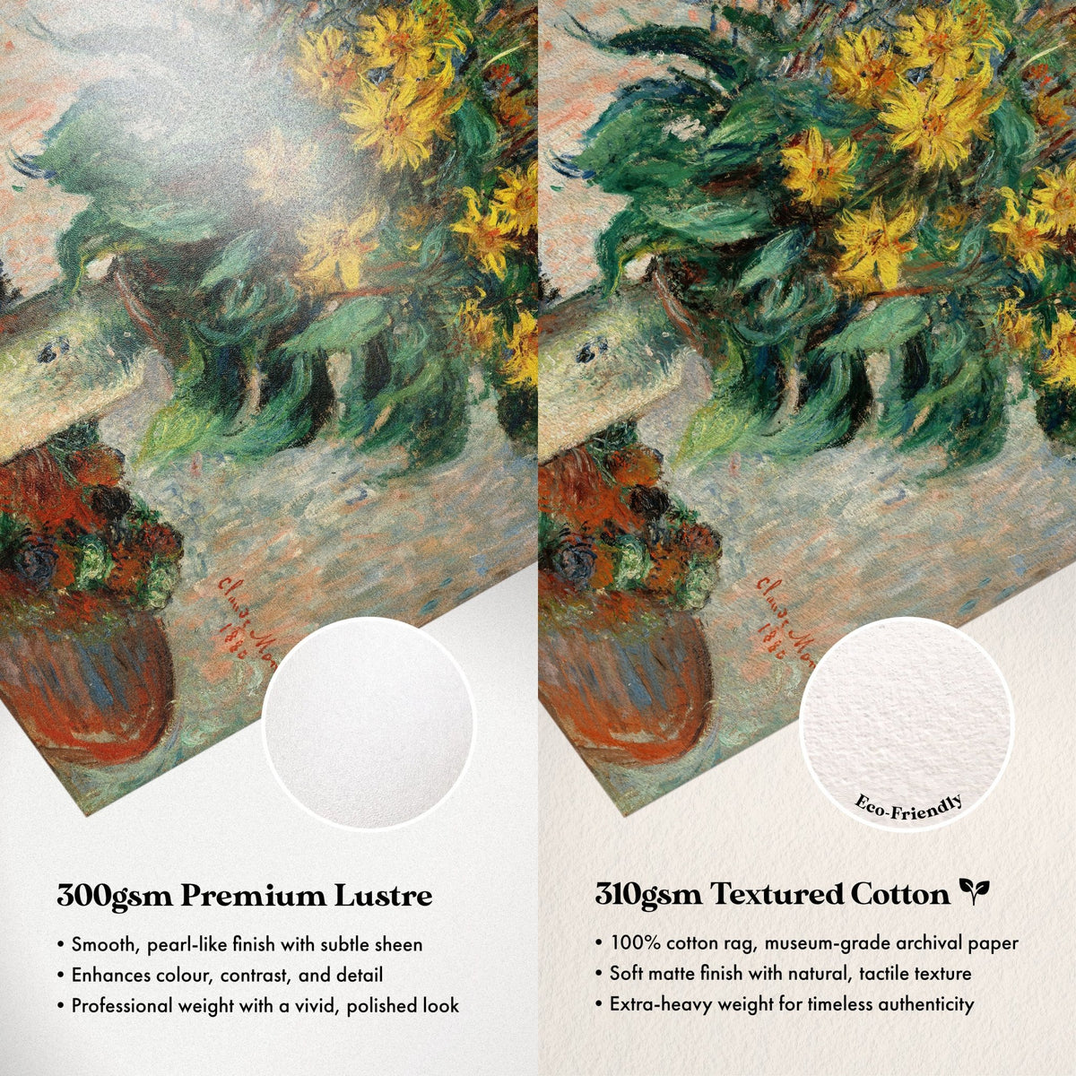 Paper Comparison
