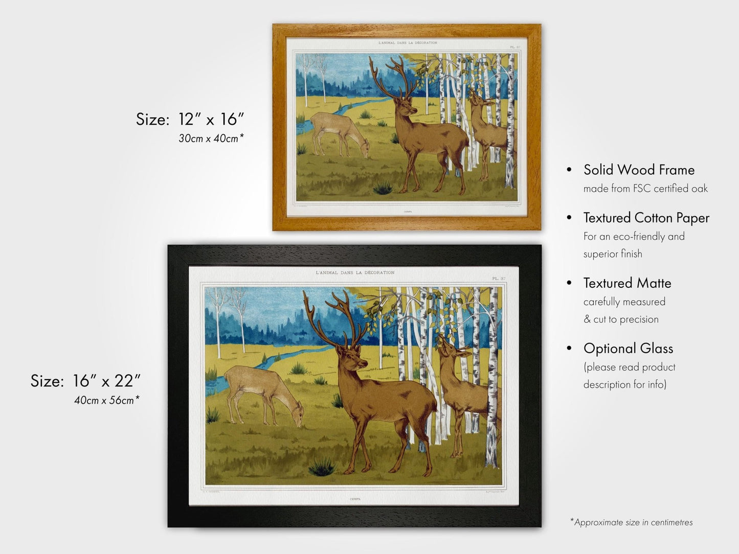 Deer from 'L'animal Dans La Décoration’ by Maurice Verneuil - Pathos Studio - Art Prints