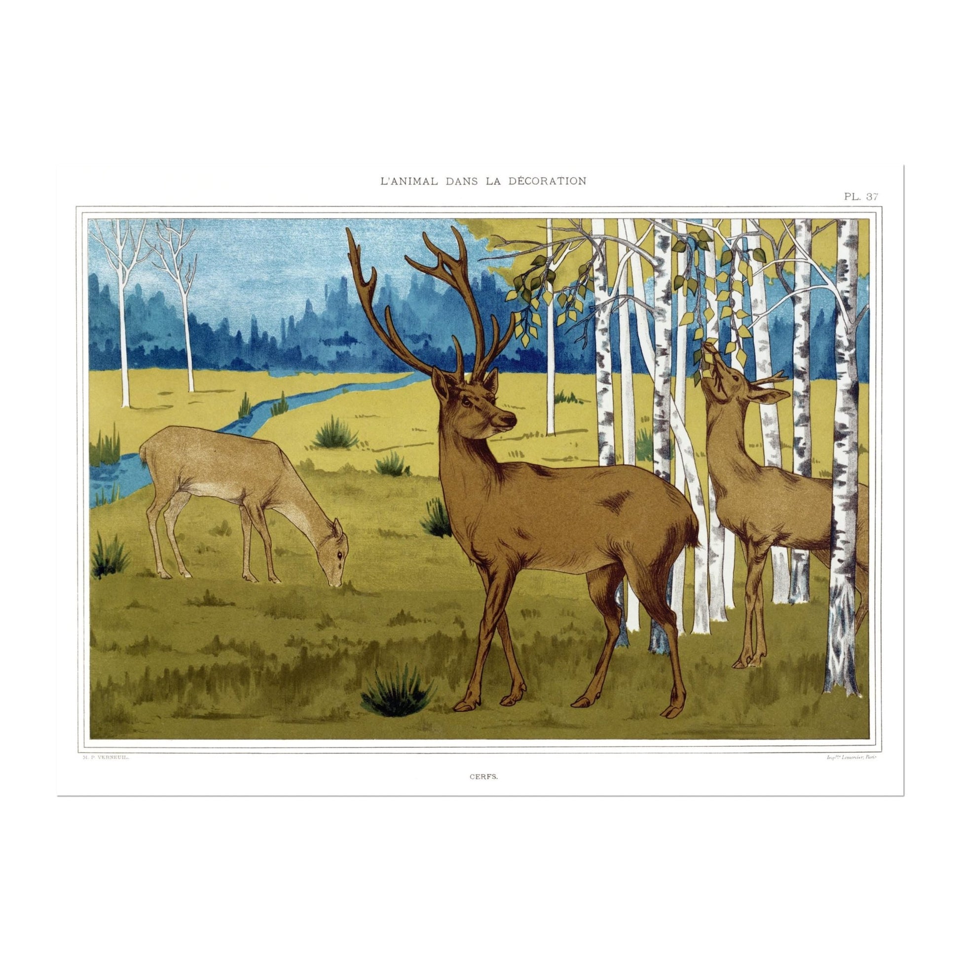 Deer from 'L'animal Dans La Décoration’ by Maurice Verneuil - Pathos Studio - Art Prints