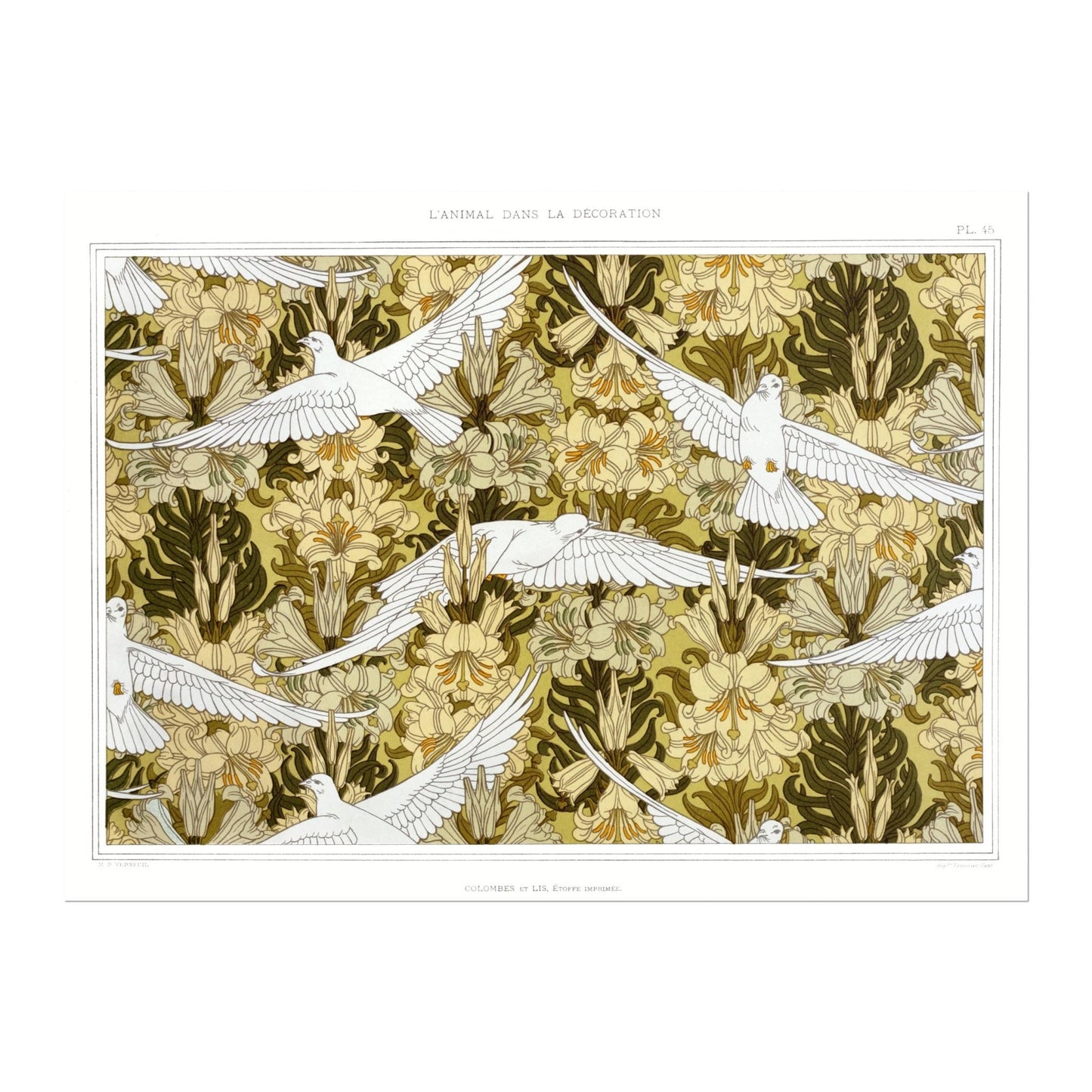 Doves from 'L'animal Dans La Décoration’ by Maurice Verneuil - Pathos Studio - Art Prints