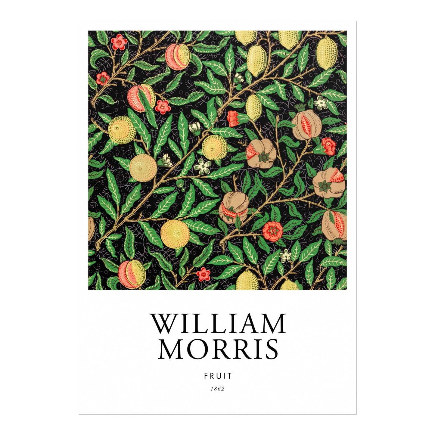 Fruit (Poster Style) - Pathos Studio - Art Prints