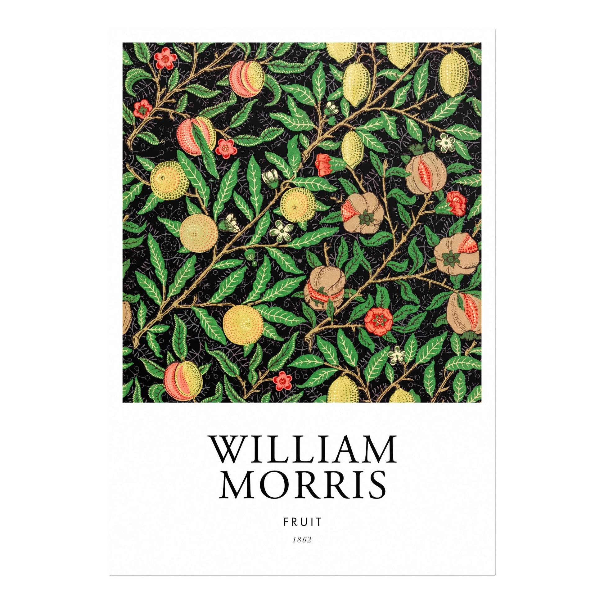 Fruit (Poster Style) - Pathos Studio - Art Prints
