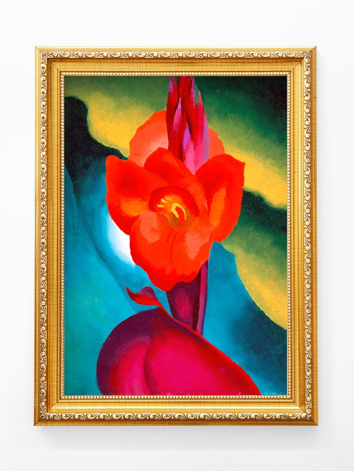 Canna rouge