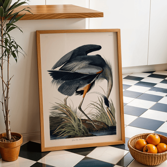 Great Blue Heron from 'Birds Of America' by John James Audubon - Pathos Studio - Art Prints