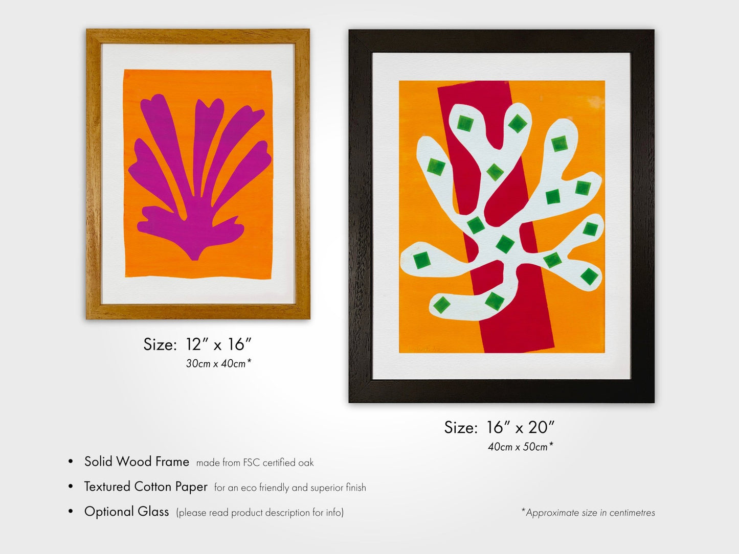 Henri Matisse - Set Of 3 Nature Cut - Outs | Art Print Sets | Pathos Studio