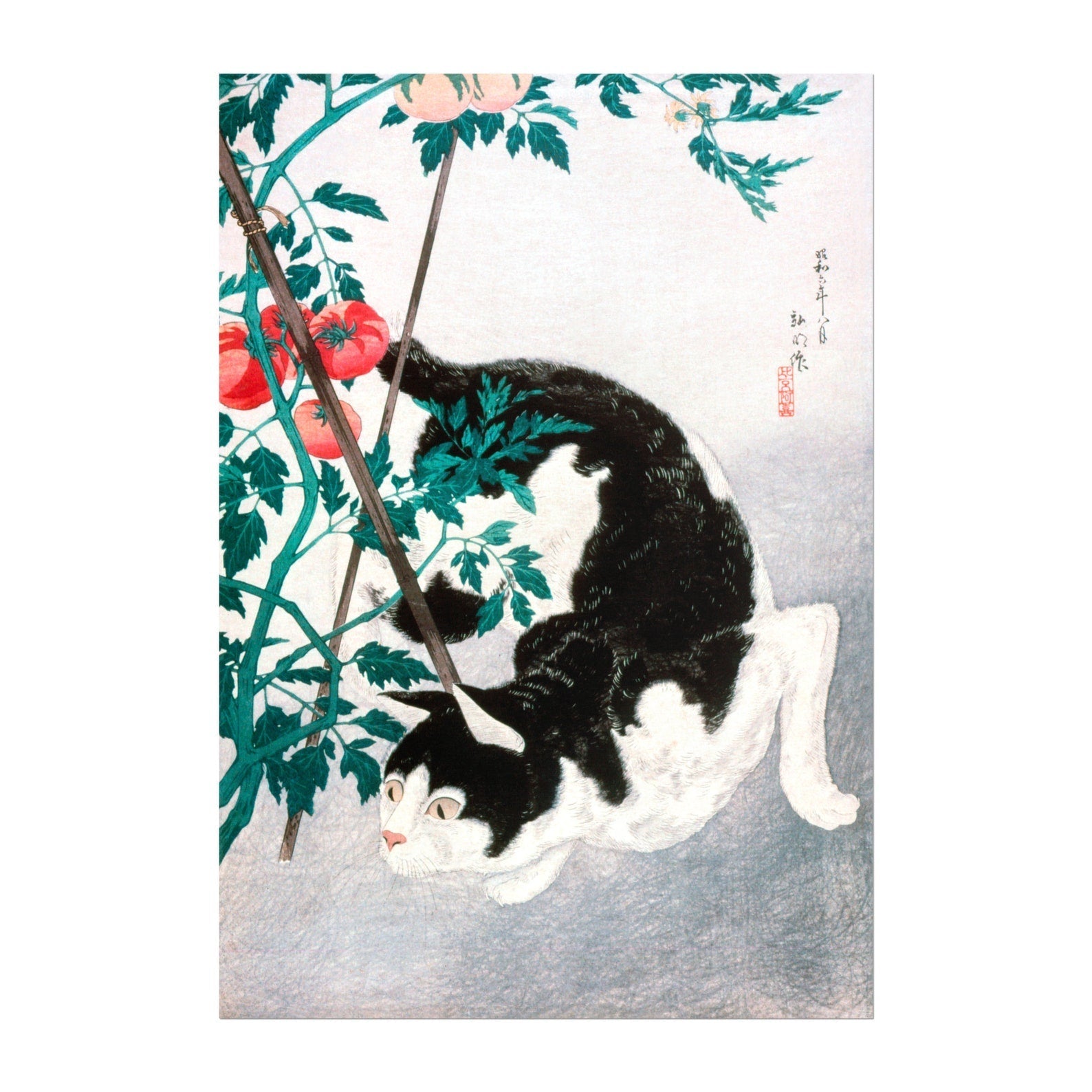 HIROAKI TAKAHASHI - Cat with Tomato Plant - Pathos Studio -
