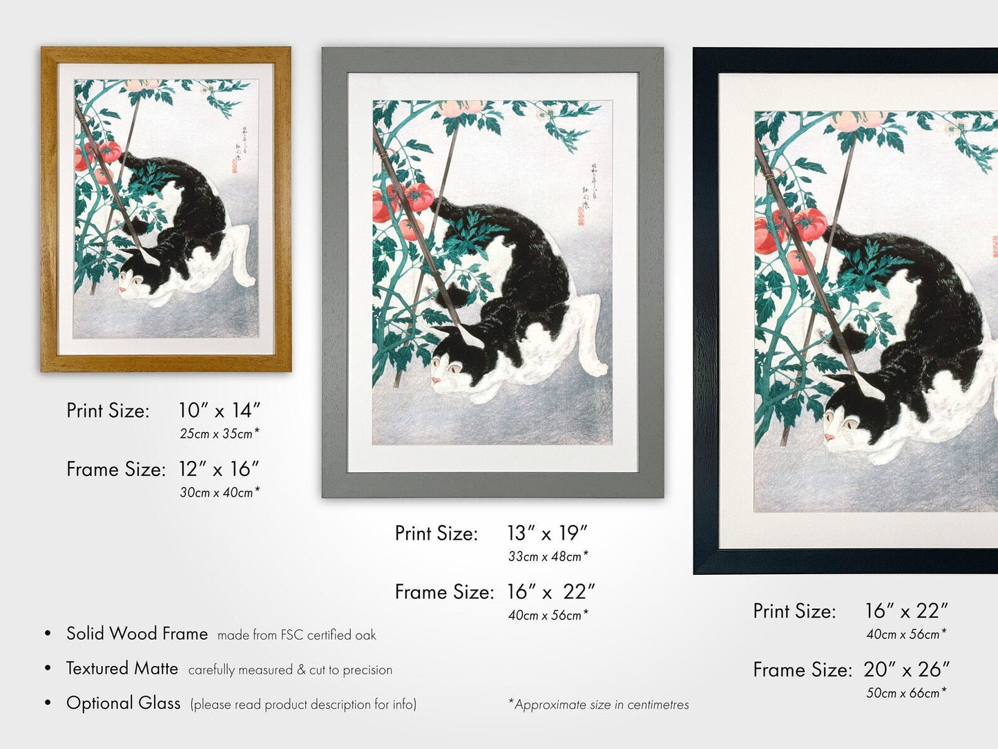 HIROAKI TAKAHASHI - Cat with Tomato Plant - Pathos Studio -