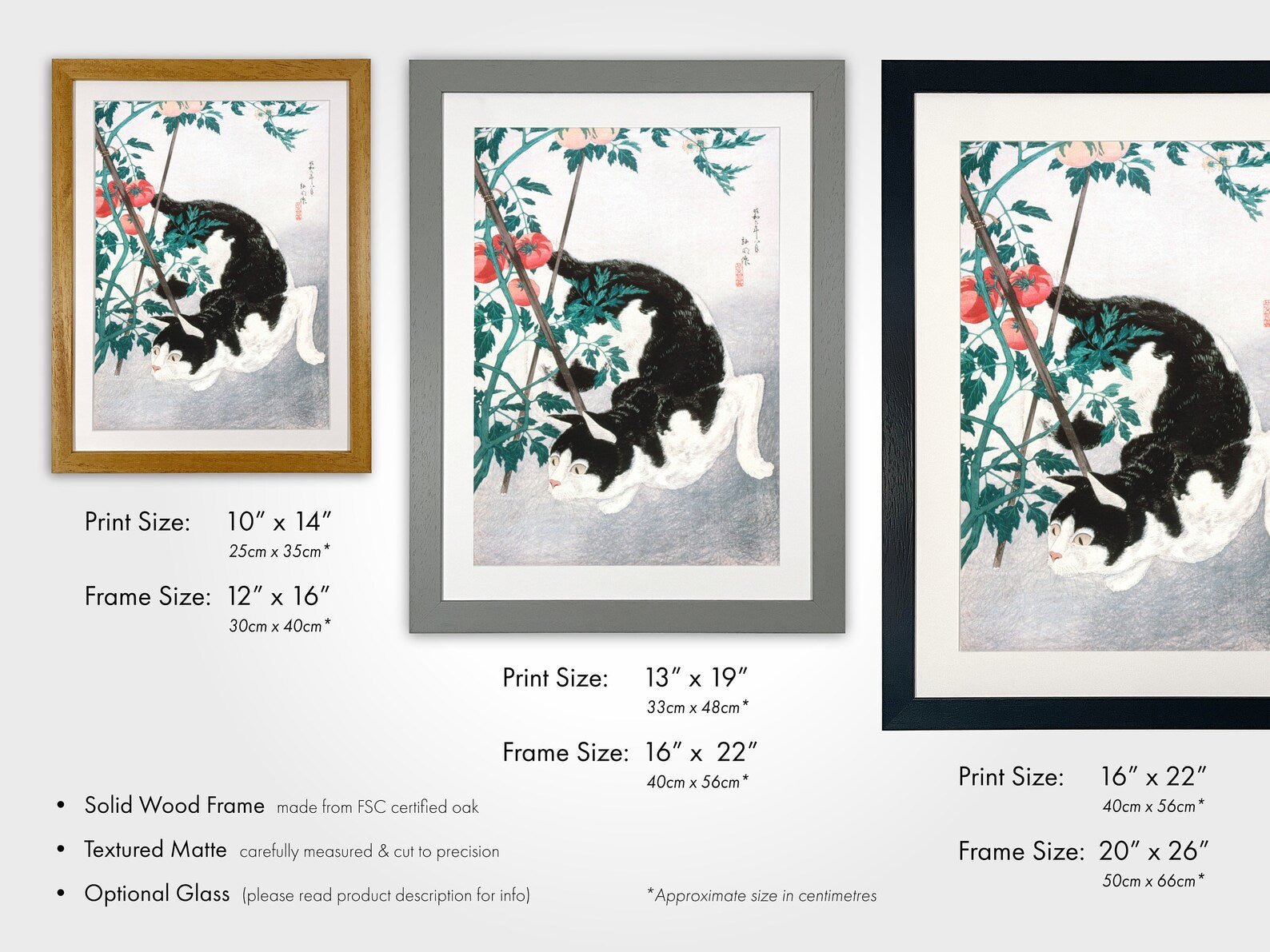 HIROAKI TAKAHASHI - Cat with Tomato Plant - Pathos Studio -