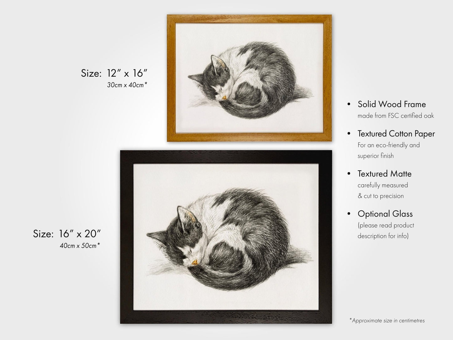 Jean Bernard - Curled Up Sleeping Cat | Art Prints | Pathos Studio
