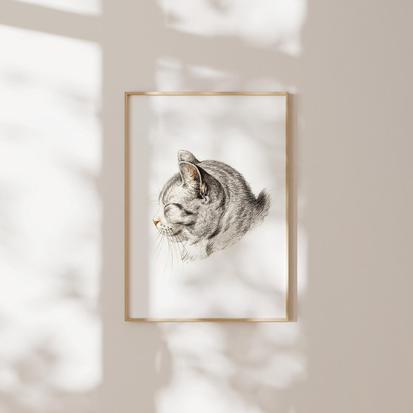 Jean Bernard - Sketch of a Cat | Art Prints | Pathos Studio