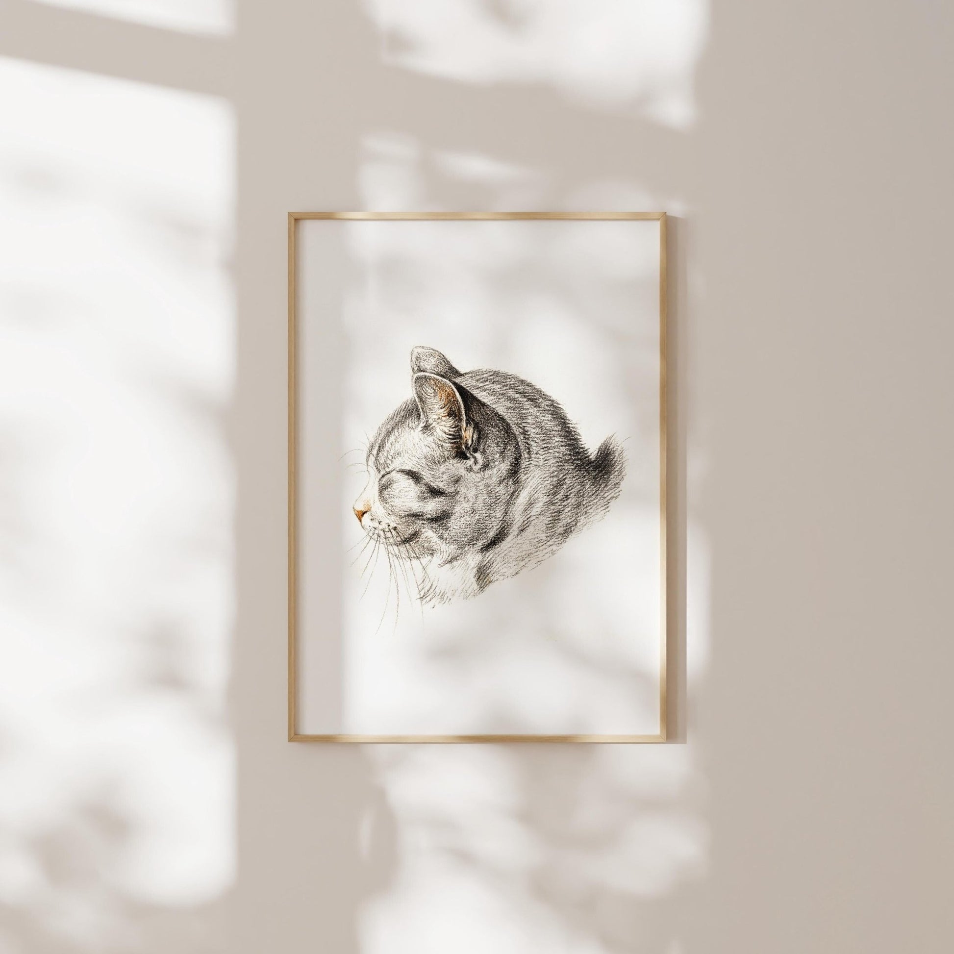 Jean Bernard - Sketch of a Cat | Art Prints | Pathos Studio