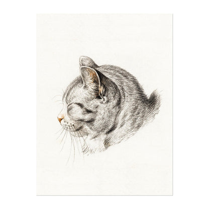 Jean Bernard - Sketch of a Cat | Art Prints | Pathos Studio