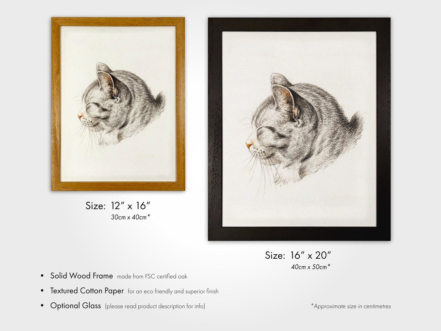 Jean Bernard - Sketch of a Cat | Art Prints | Pathos Studio