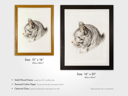 Jean Bernard - Sketch of a Cat | Art Prints | Pathos Studio