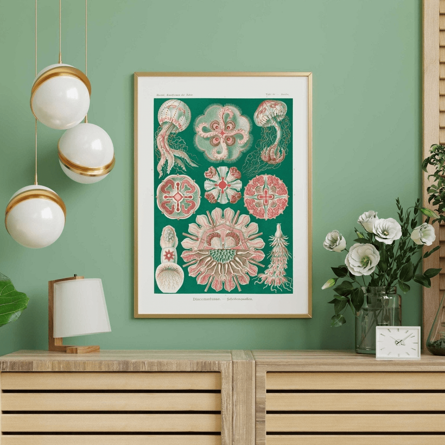 Jellyfish (Discomedusae) - Pathos Studio - Art Prints