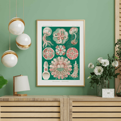 Jellyfish (Discomedusae) - Pathos Studio - Art Prints