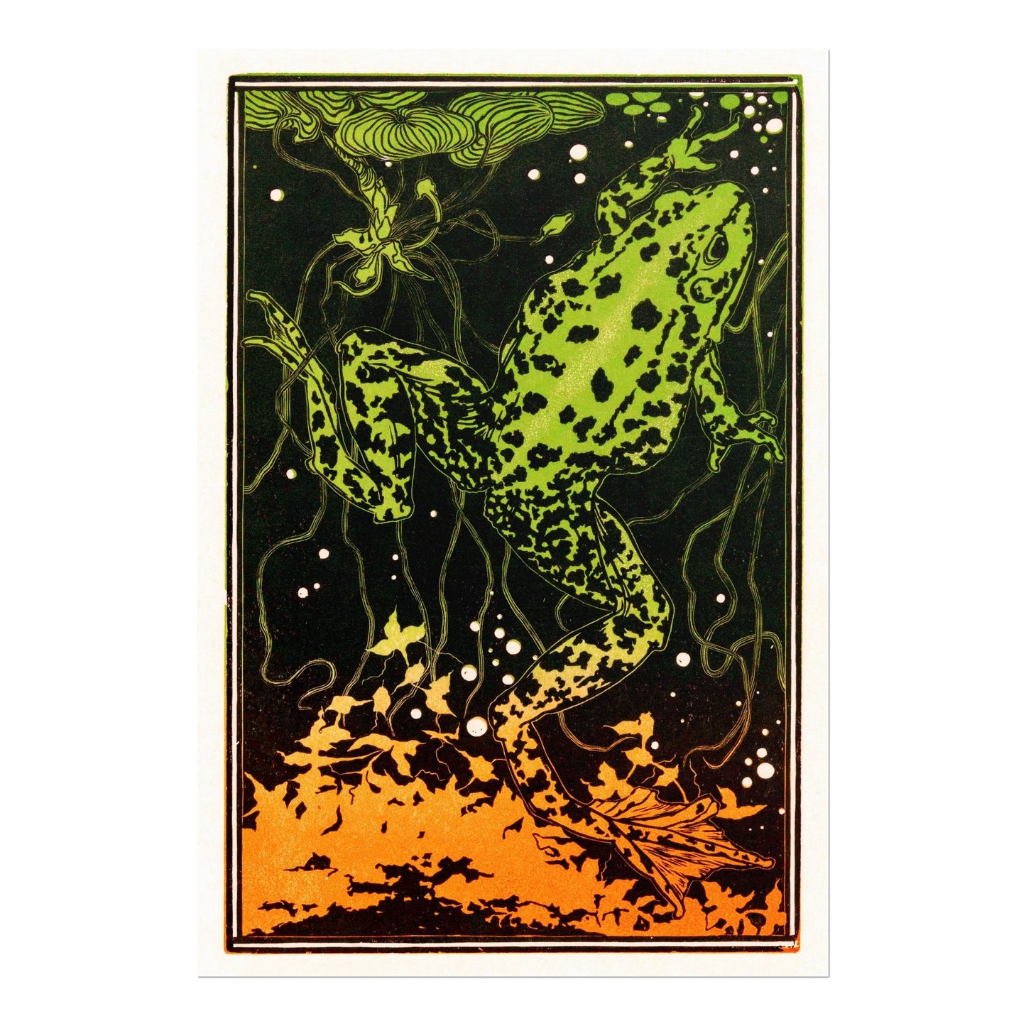 Julie De Graag - Swimming Frog | Art Prints | Pathos Studio
