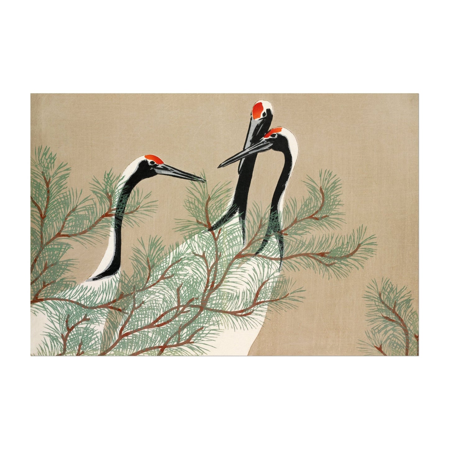 KAMISAKA SEKKA - Cranes from Momoyogusa - Pathos Studio - Art Prints