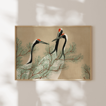 KAMISAKA SEKKA - Cranes from Momoyogusa - Pathos Studio - Art Prints