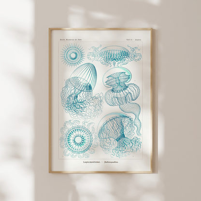 Leptomedusae - Pathos Studio - Art Prints