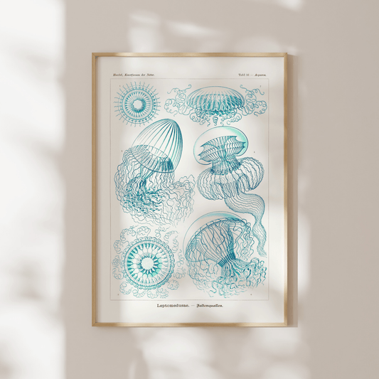 Leptomedusae - Pathos Studio - Art Prints