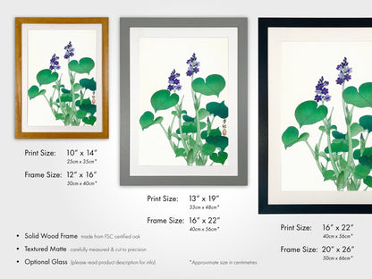 OHARA KOSON - Blooming Hosta - Pathos Studio - Art Prints