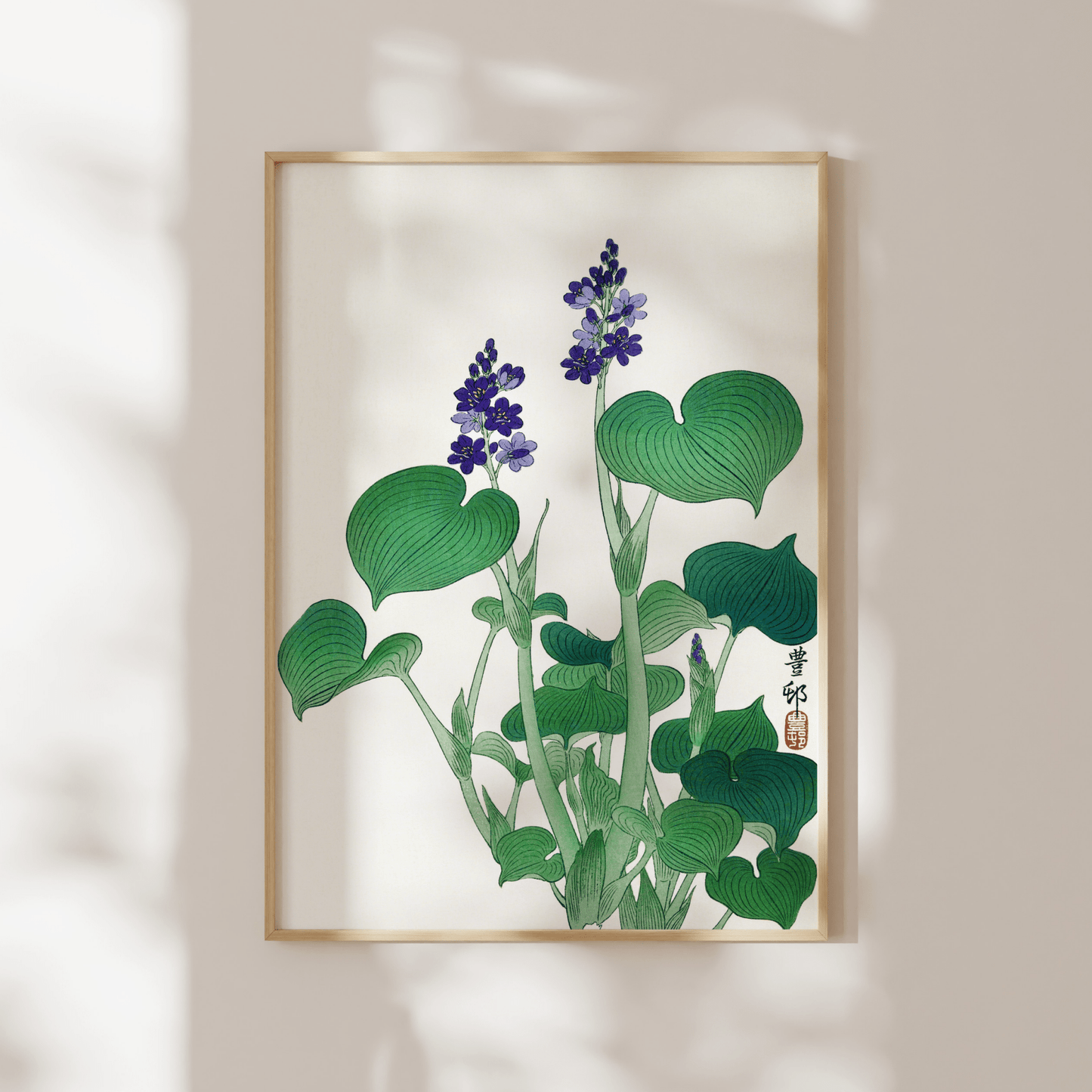 OHARA KOSON - Blooming Hosta - Pathos Studio - Art Prints