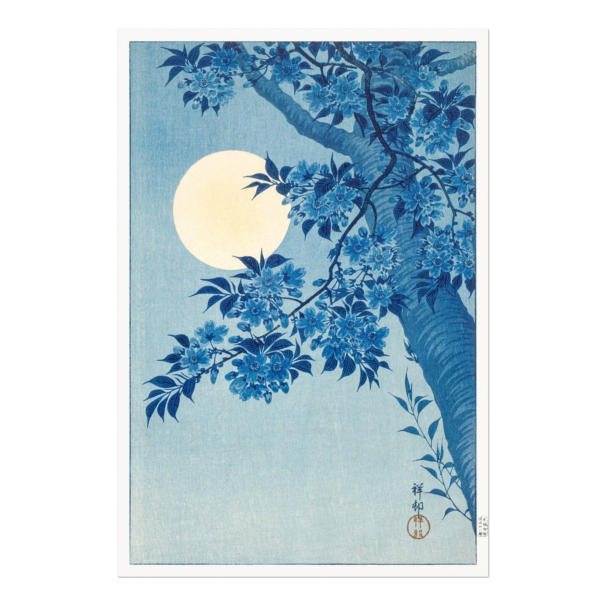 OHARA KOSON - Blossoming Cherry On A Moonlit Sky - Pathos Studio - Art Prints