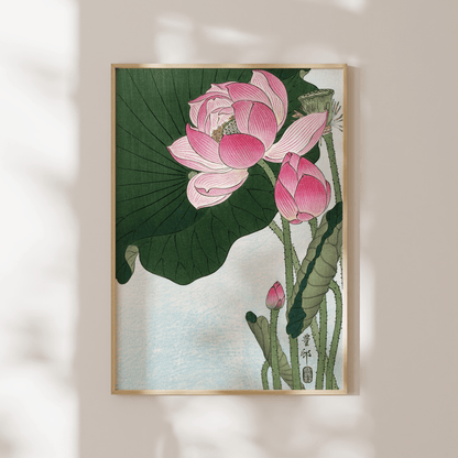 OHARA KOSON - Blossoming Lotus Flowers - Pathos Studio - Art Prints