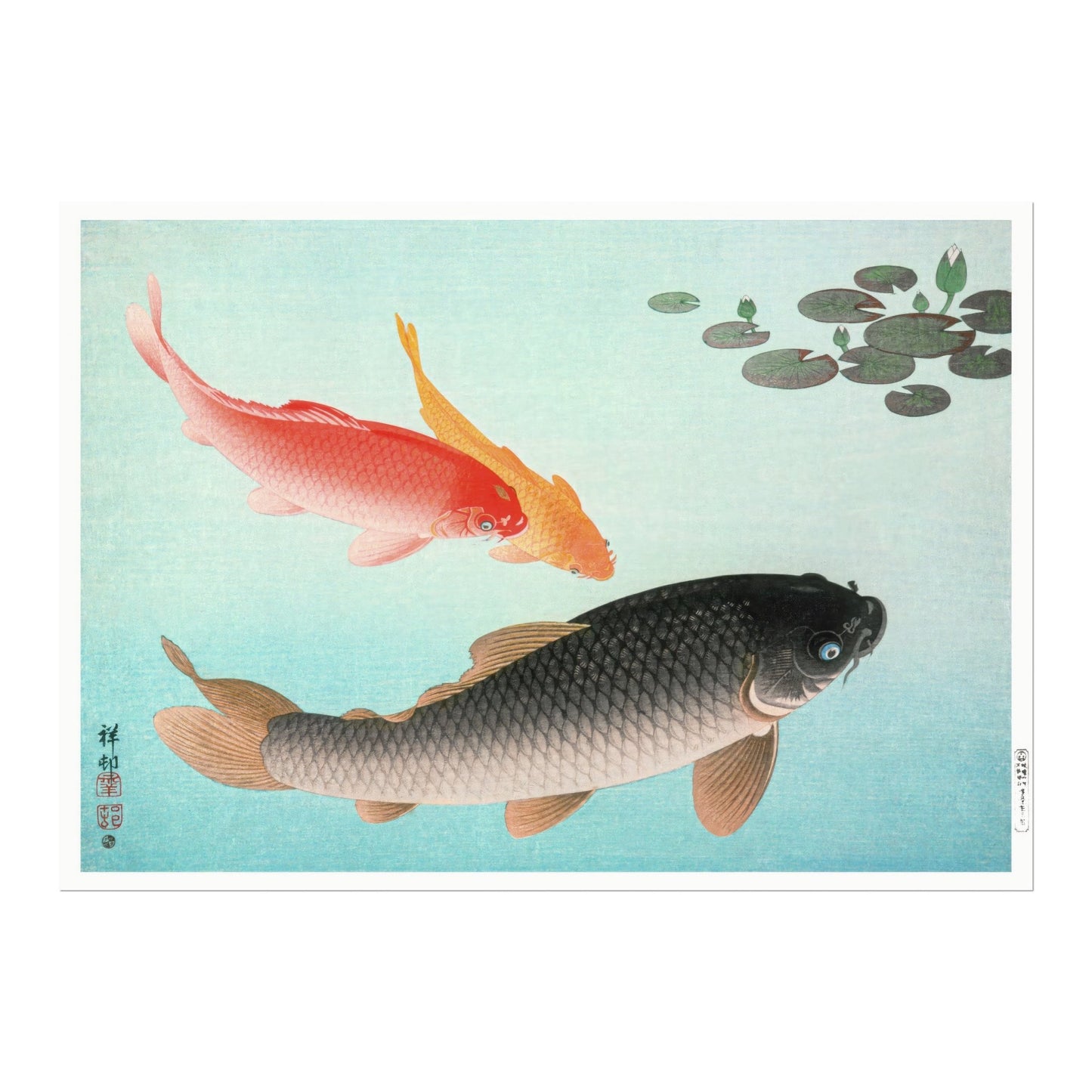 OHARA KOSON - Common and Golden Carp - Pathos Studio - Art Prints