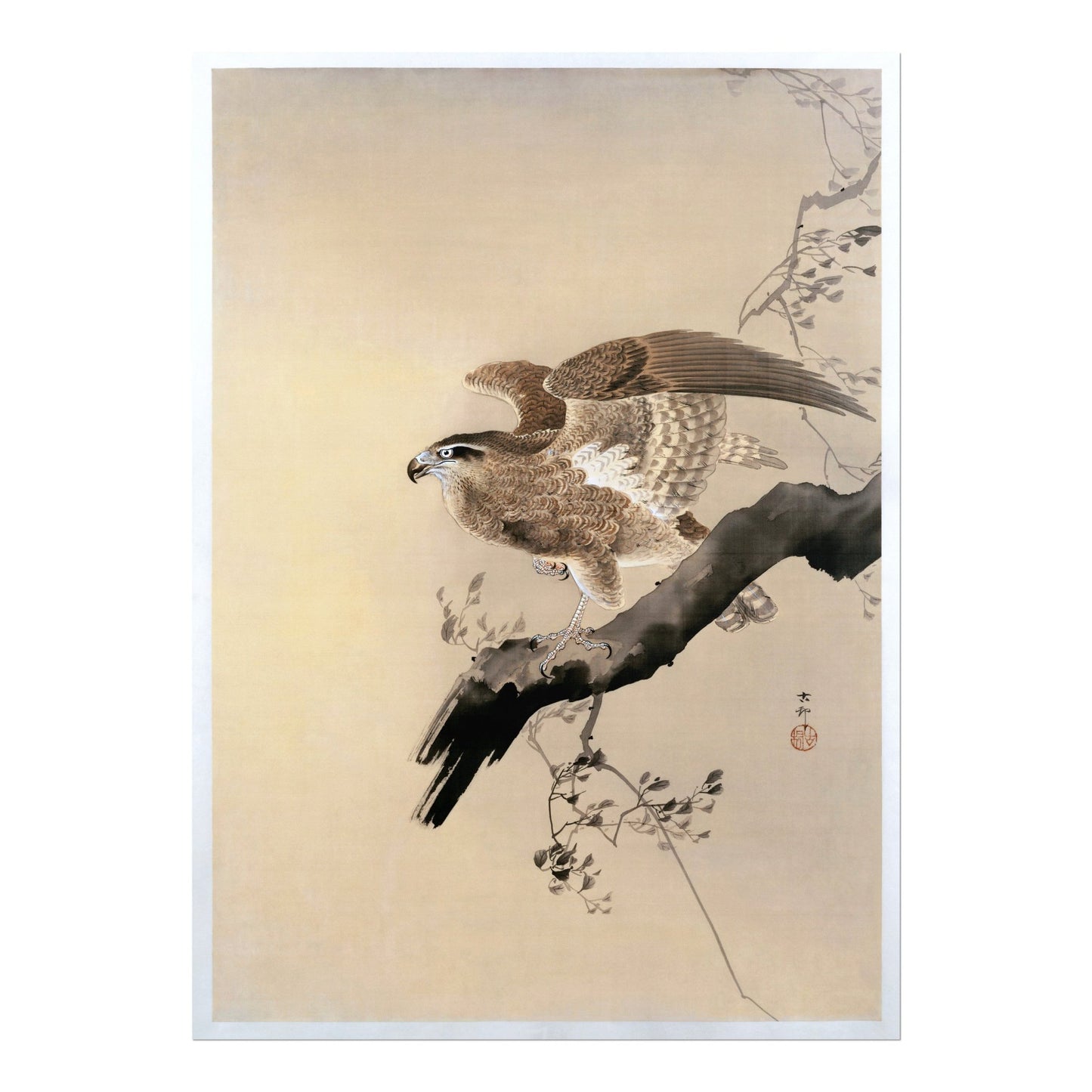 OHARA KOSON - Hawk - Pathos Studio - Art Prints