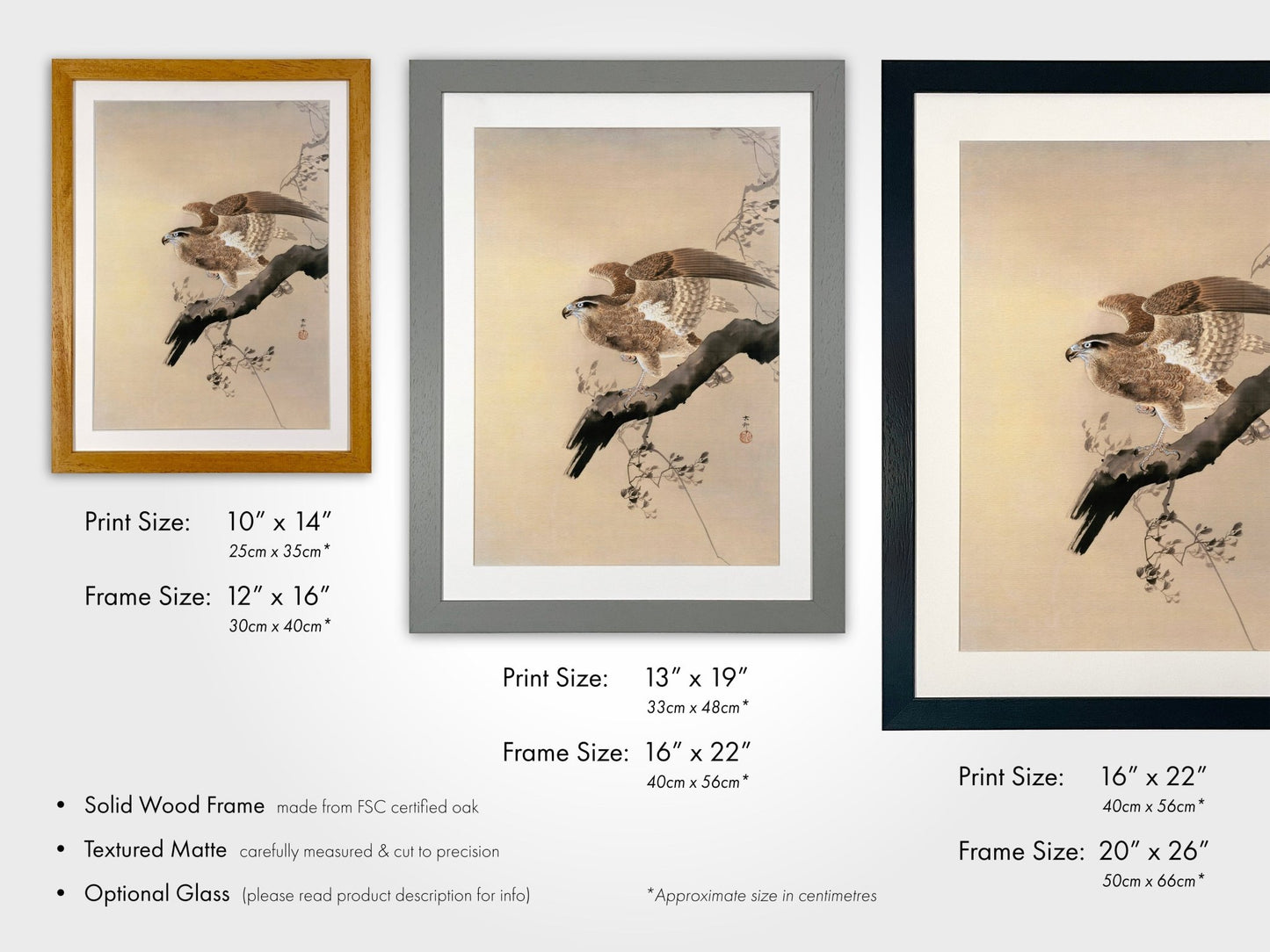 OHARA KOSON - Hawk - Pathos Studio - Art Prints