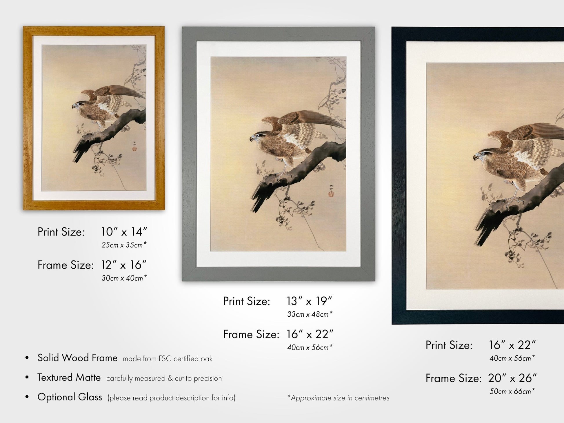 OHARA KOSON - Hawk - Pathos Studio - Art Prints