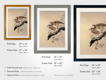 OHARA KOSON - Hawk - Pathos Studio - Art Prints