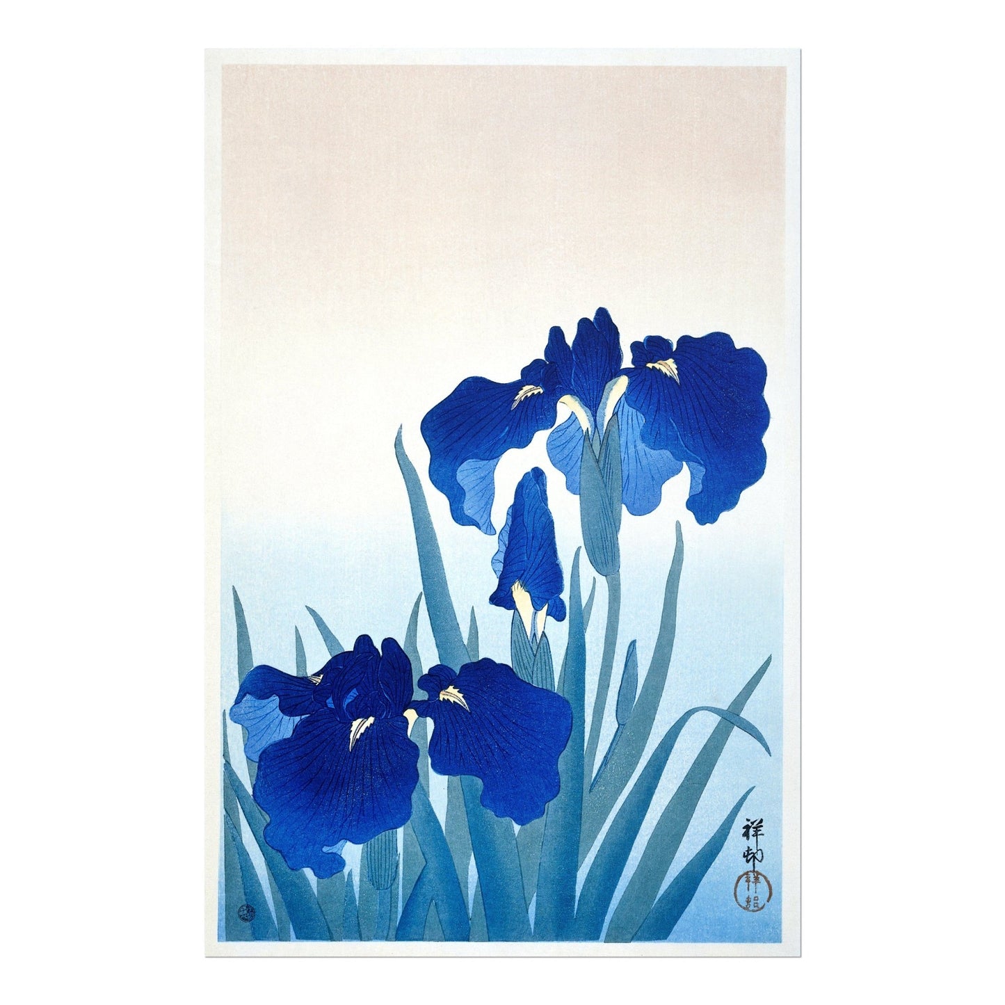 OHARA KOSON - Iris - Pathos Studio - Art Prints