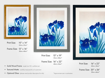 OHARA KOSON - Iris - Pathos Studio - Art Prints
