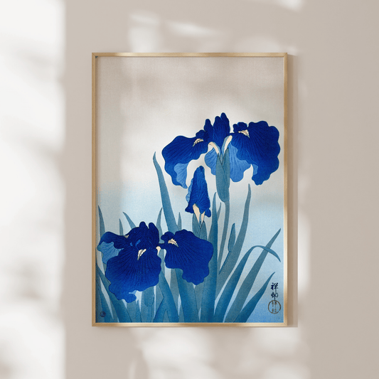 OHARA KOSON - Iris - Pathos Studio - Art Prints